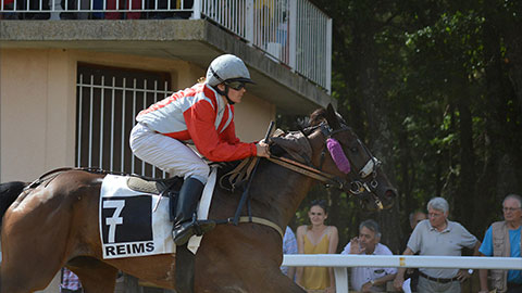 Top 5 Female Jockeys