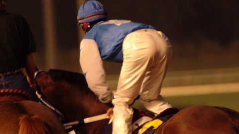 How to Find Value Bets in Horse Racing