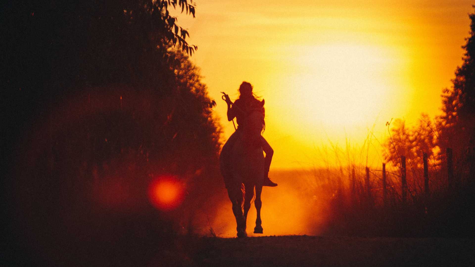 How to Pick Outsiders in Horse Racing