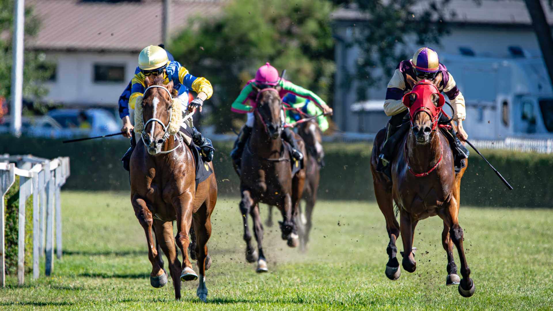 How to Read Horse Racing Form