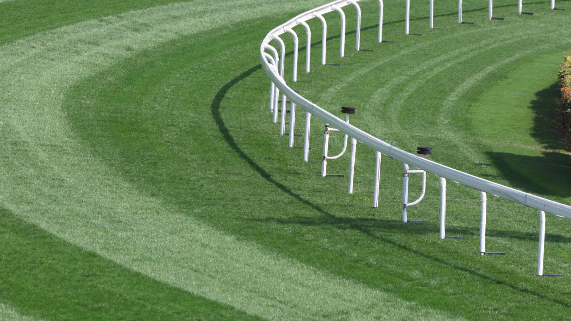 Modernising Horse Racing for a New Generation