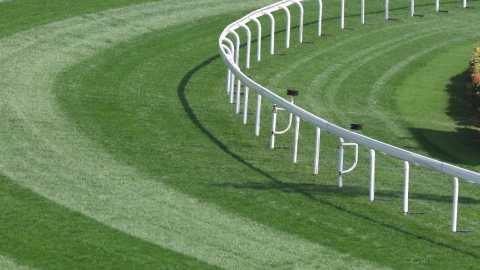 Modernising Horse Racing for a New Generation