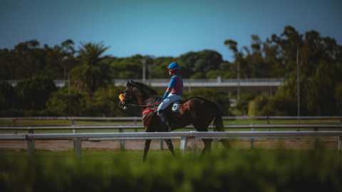 Breeding in Horse Racing